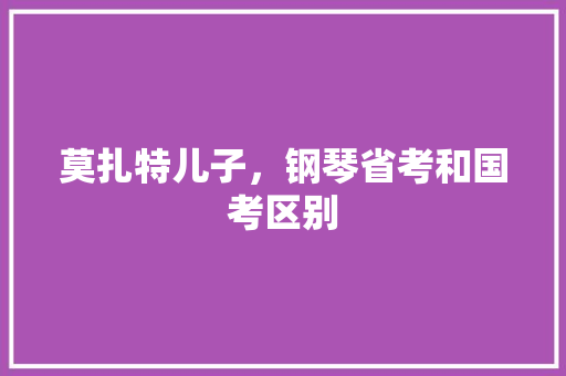 莫扎特儿子，钢琴省考和国考区别 教育科普