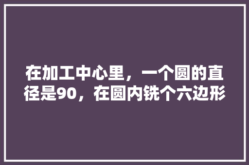 在加工中心里，一个圆的直径是90，在圆内铣个六边形，请问六个顶点坐标是多少？程序怎么编，公务员考试圆圈图推题 公考知识