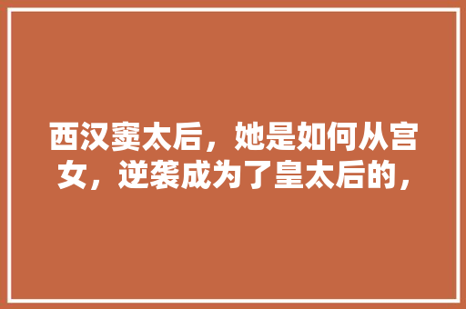 西汉窦太后，她是如何从宫女，逆袭成为了皇太后的，文景之治选择题 建筑考试