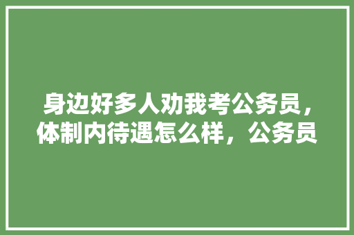 身边好多人劝我考公务员，体制内待遇怎么样，公务员考试题炒菜放白糖 专业填报