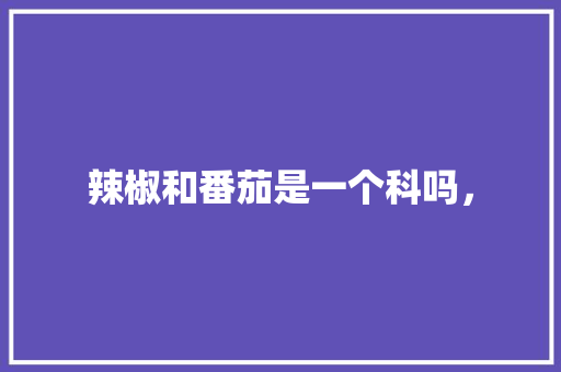 辣椒和番茄是一个科吗， 公考知识