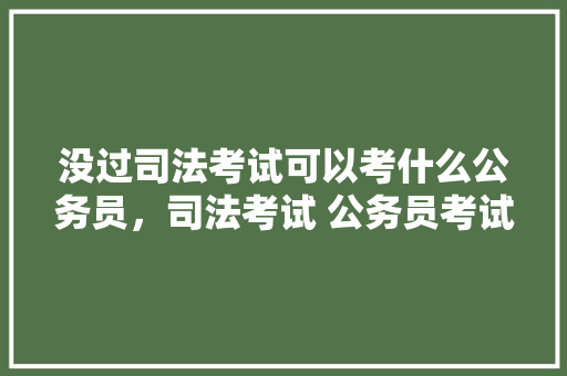 没过司法考试可以考什么公务员，司法考试 公务员考试题及答案 专业填报
