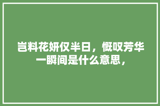 岂料花妍仅半日，慨叹芳华一瞬间是什么意思， 大学排名