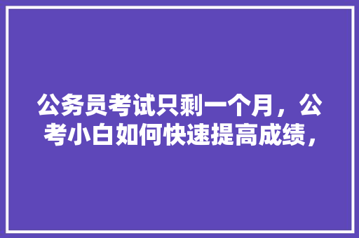 公务员考试只剩一个月，公考小白如何快速提高成绩，山东省公务员试卷 教育科普