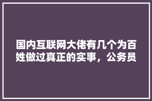 国内互联网大佬有几个为百姓做过真正的实事，公务员真假题 大学排名
