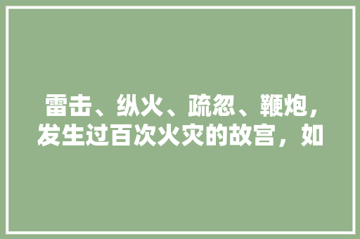 雷击、纵火、疏忽、鞭炮，发生过百次火灾的故宫，如何应对火灾，故宫公务员考试题目及答案 教育科普
