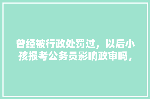 曾经被行政处罚过，以后小孩报考公务员影响政审吗，幼儿公务员考试题难吗知乎