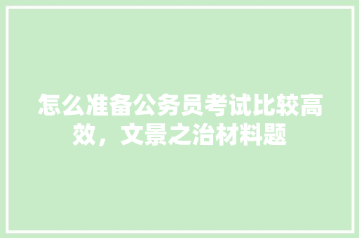 怎么准备公务员考试比较高效，文景之治材料题 专业填报
