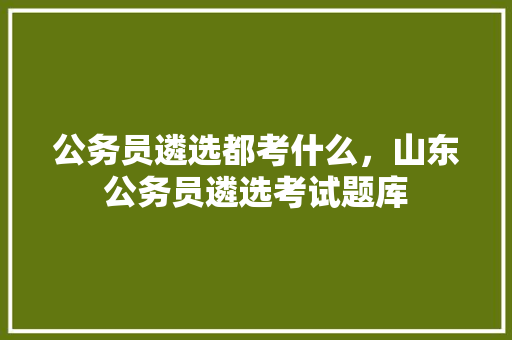 公务员遴选都考什么，山东公务员遴选考试题库 教育科普
