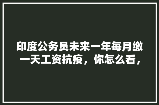 印度公务员未来一年每月缴一天工资抗疫，你怎么看，印度公务员考试题目 公考知识